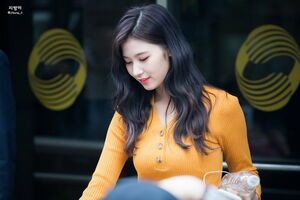 Photo : Sana