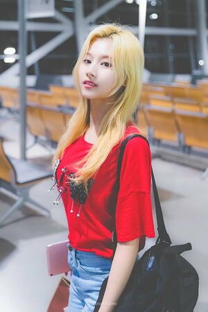 Photo : Sana