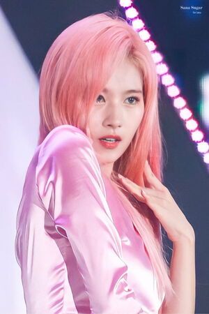 Photo : Sana
