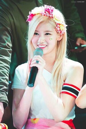 Photo : Sana