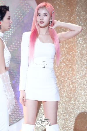 Photo : Sana