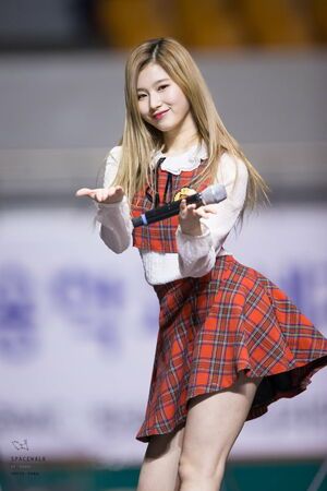 Photo : Sana