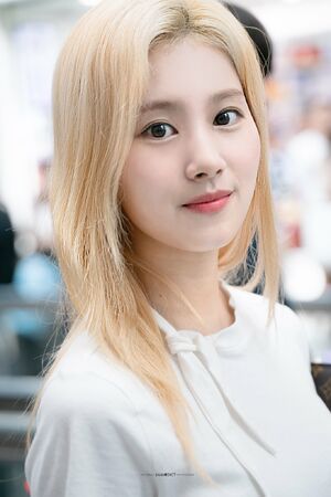 Photo : Sana