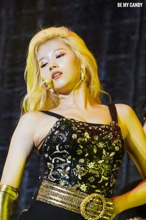 Photo : Sana