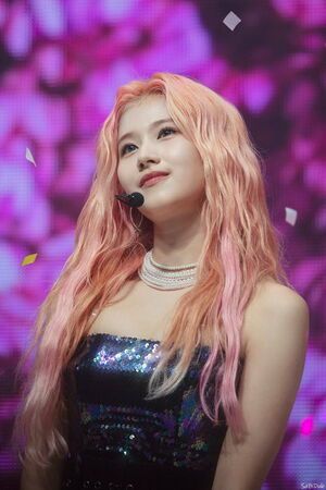Photo : Sana