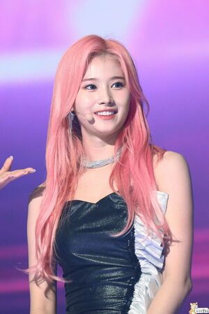 Photo : Sana