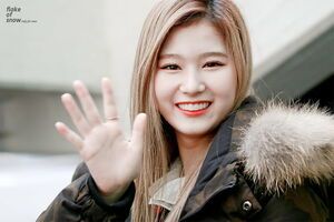 Photo : Sana