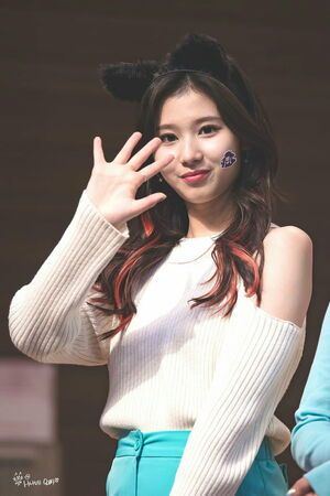 Photo : Sana