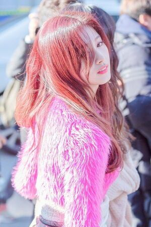 Photo : Sana