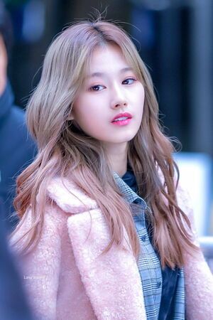Photo : Sana