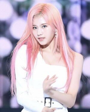 Photo : Sana