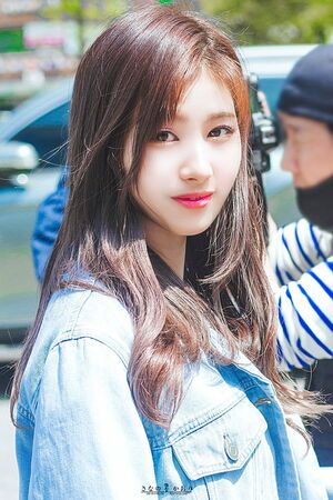 Photo : Sana