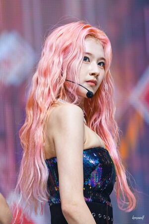 Photo : Sana