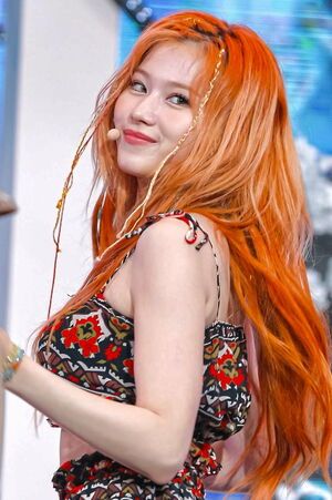 Photo : Sana