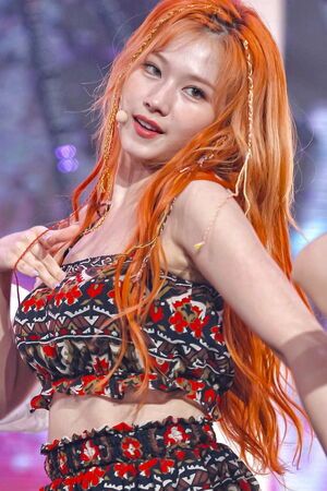 Photo : Sana