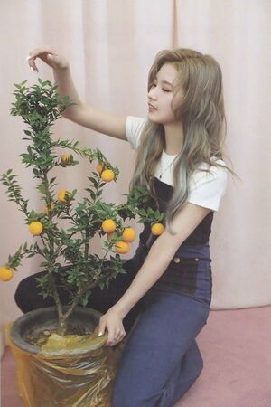 Photo : Sana