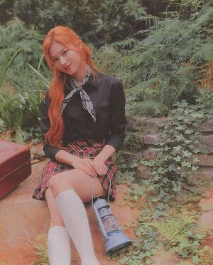 Photo : Sana