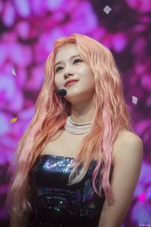 Photo : Sana