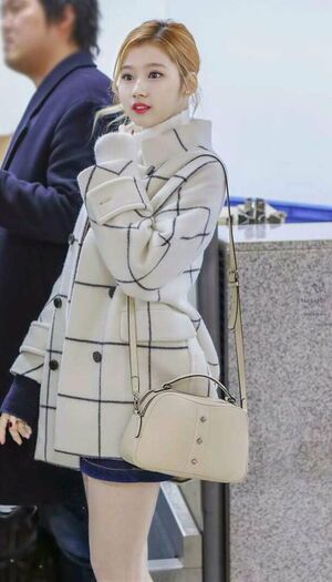 Photo : Sana