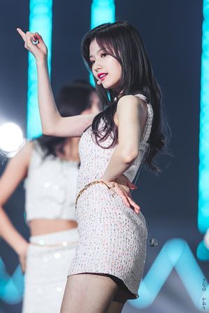 Photo : Sana
