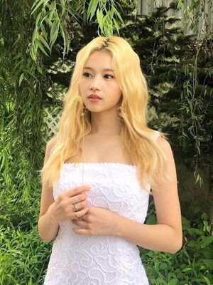 Photo : Sana