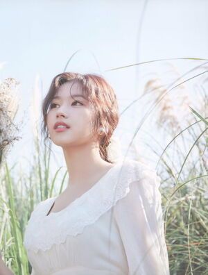 Photo : Sana