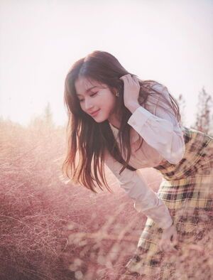 Photo : Sana