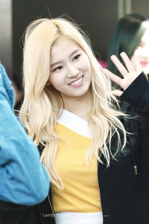 Photo : Sana