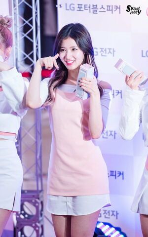 Photo : Sana