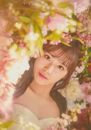 Photo : Sana