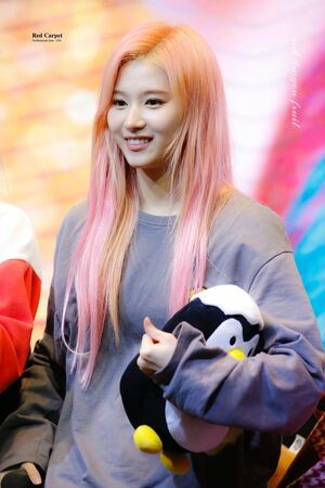 Photo : Sana