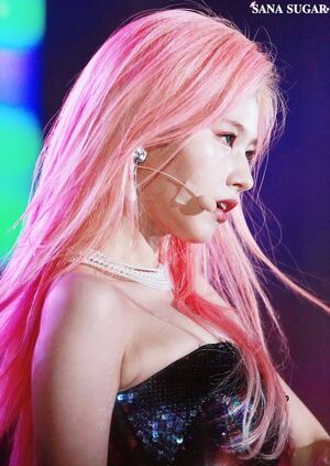 Photo : Sana