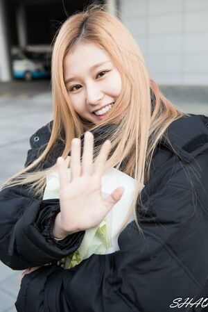 Photo : Sana