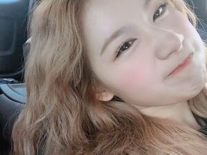 Photo : Sana bubble update