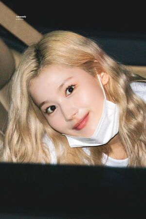 Photo : Sana