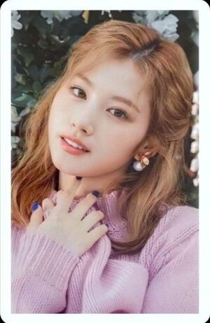 Photo : Sana
