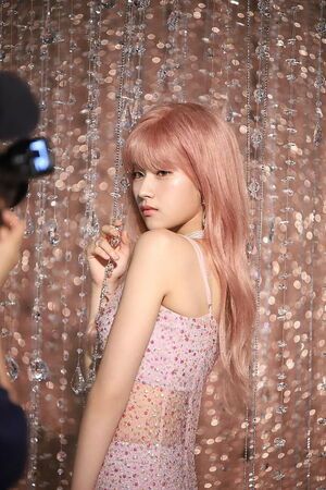 Photo : Sana