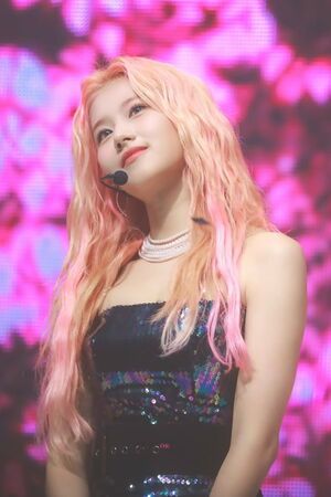 Photo : SANA