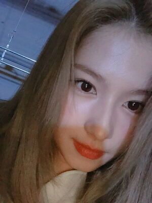Photo : Sana bubble update