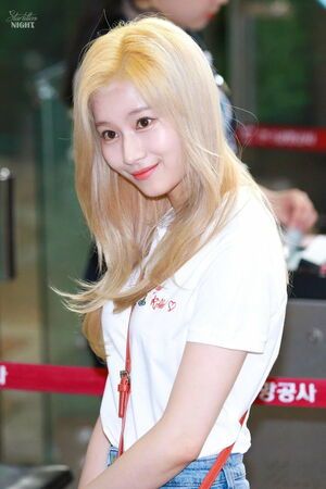 Photo : Sana