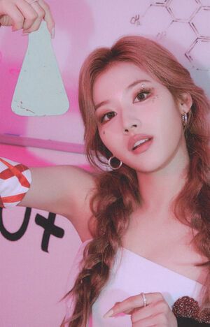 Photo : Sana