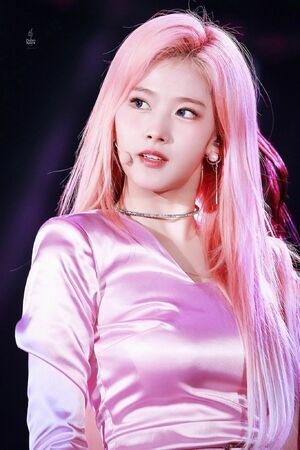 Photo : Sana