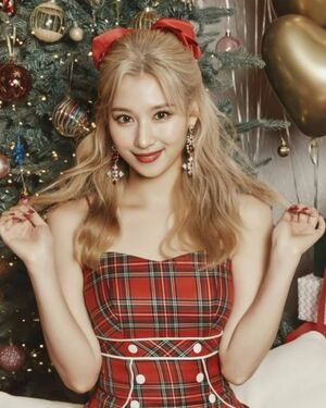 Photo : Sana