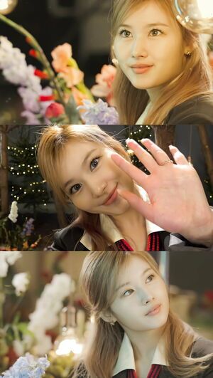 Photo : Sana