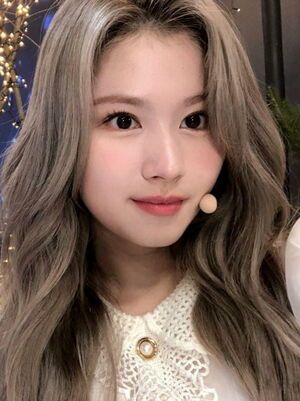 Photo : Sana