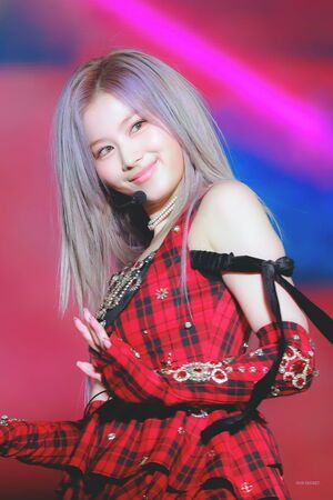 Photo : No Sana No Life