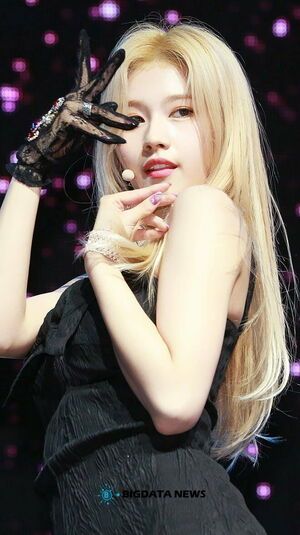 Photo : Sana