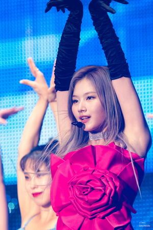 Photo : Sana
