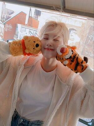 Photo : Sana