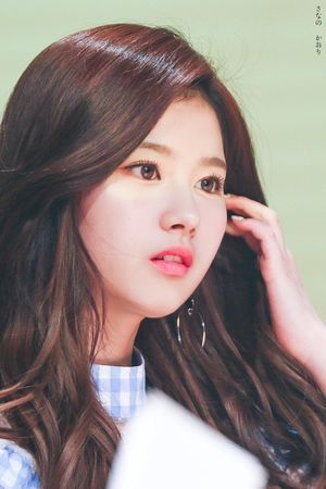 Photo : Sana